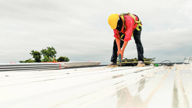 Best Roof Insulation Installation  in Miami Heights, OH
